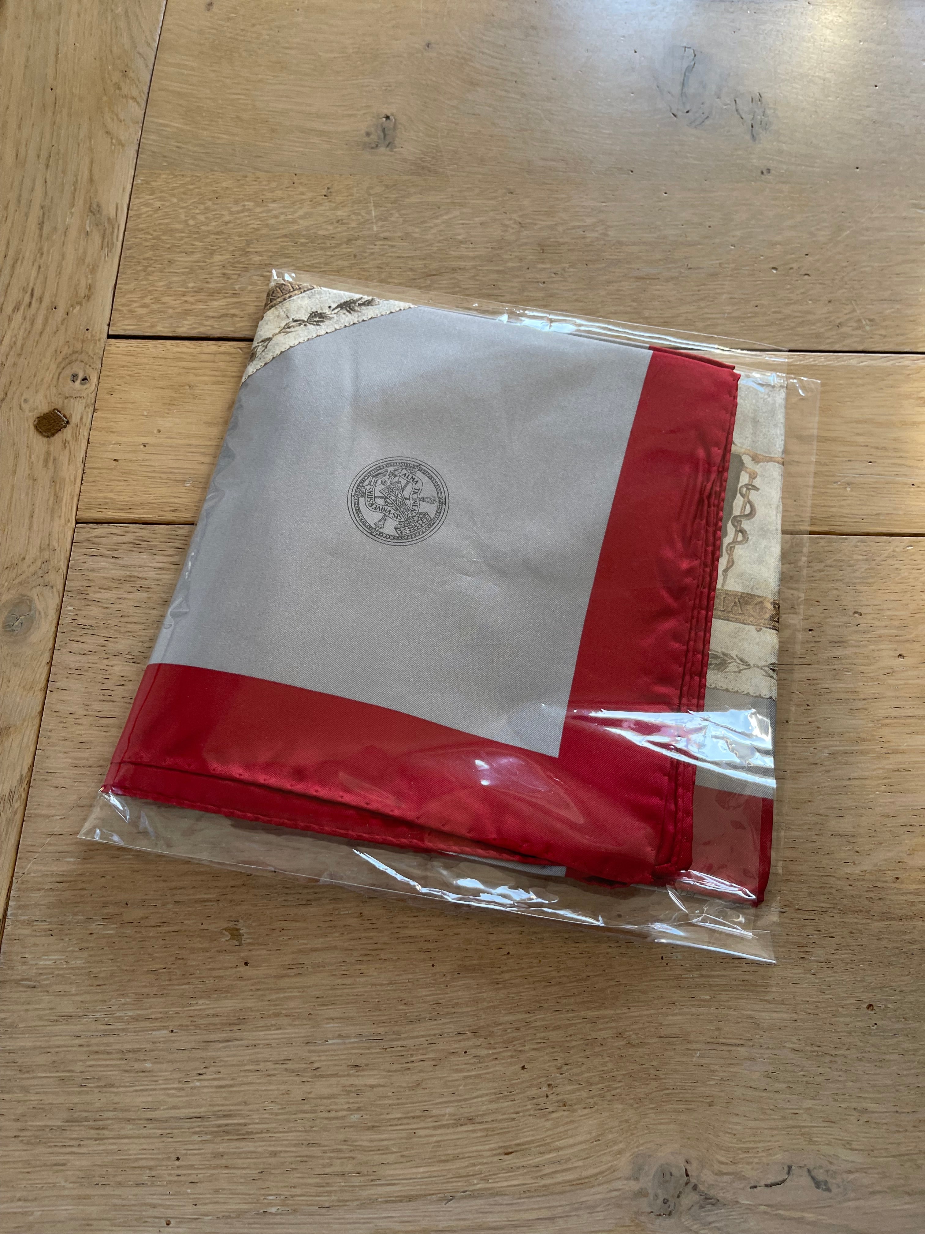 SeidenTuch Alma carré foulard scarf schal sjaal seide soie silk New