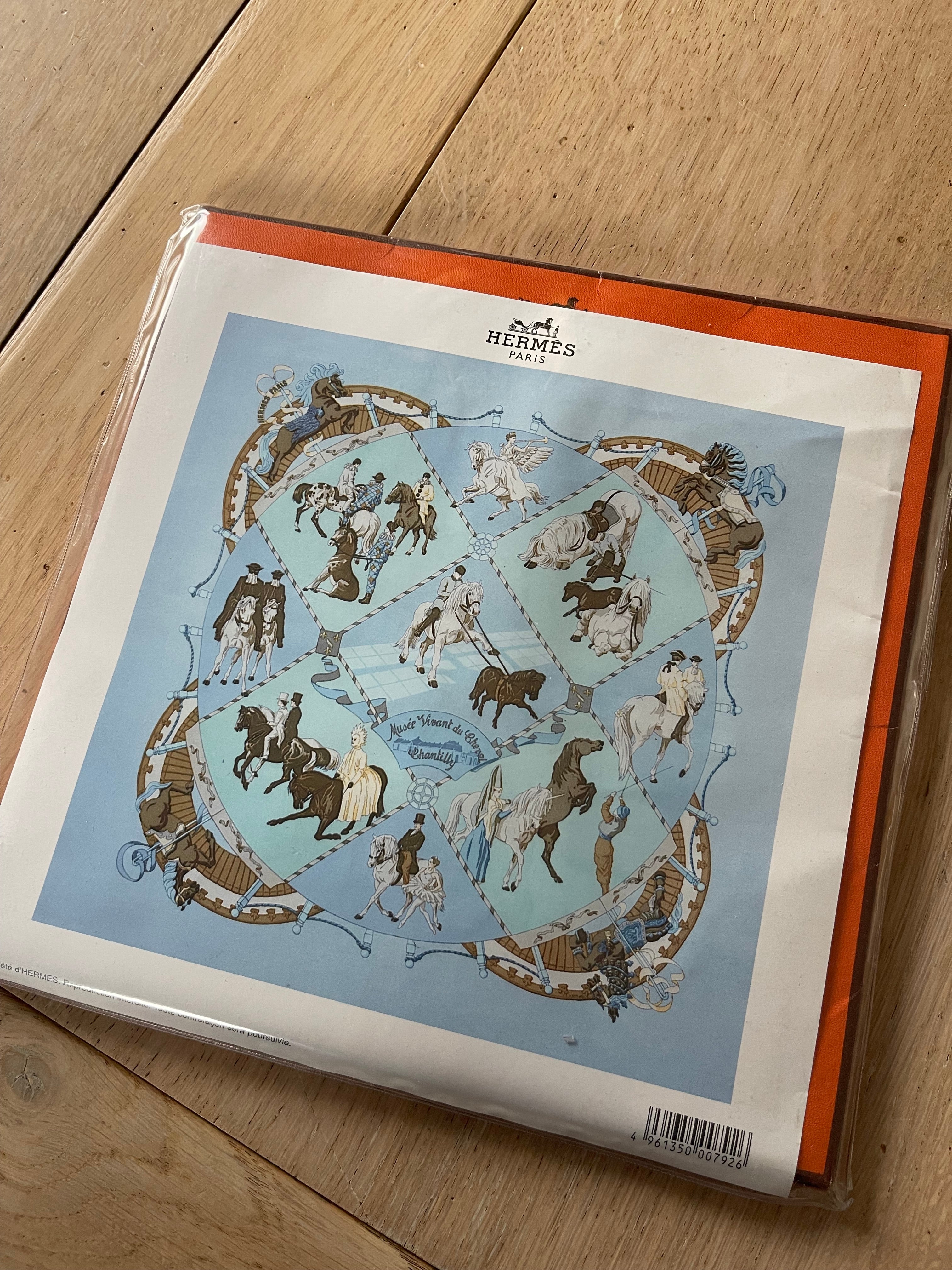 Foulard carré HERMÈS Musée Vivant signé Silk SCARF seide seda seta schal